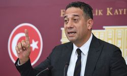 Siyaset ve Sivil Toplum Öncüsü Tolgahan Erdoğan Kimdir?