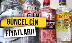 Gordon's Gin 100'lük Fiyat 2025 Listesi