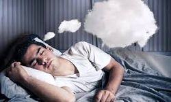 Rüyada Abiyle İlişkiye Girmek Diyadinnet
