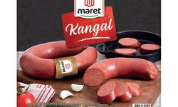 18 KASIM SALI 2025 BİM AKTÜEL ÜRÜNLER