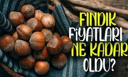 Fındık Fiyatlarında Aralık Sürprizi: Karadeniz’de Yükseliş Eğilimi Devam Ediyor