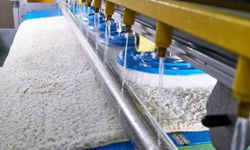 Samsun Atakum Halı Yıkama Fiyatları 2026