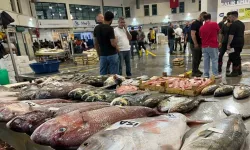 Samsun Balık Halı Fiyatları 2026