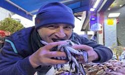 Samsun’da Hamsi Şaşırtıyor: Fiyat Arttı, İlgi Azalmadı