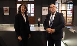 Dünyada Sadece Üç Örneği Var! Bir Tanesi de Samsun'da