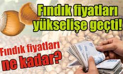 3 Aralık 2025 Fındık Fiyatları Yükselişe Geçti: İşte Karadeniz’de Son Durum
