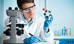 Biyomedikal Mühendisliği Maaşları Ne Kadar?