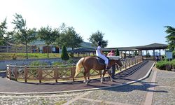 Samsun Atlı Spor Tesisleri Fiyatları
