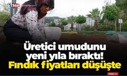 Fındıkta Umut Yeni Yıla Kaldı