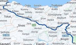 Samsun Muş Arası Kaç Km?