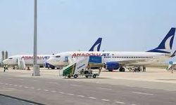 Havalanamadan Geri Döndü: Samsun-İzmir Uçağında Martı Alarmı
