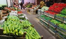 Samsun Hal Fiyatları Listesi 2026