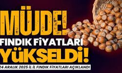 25 Aralık 2025 Güncel Fındık Fiyatları Üreticinin Yüzünü Güldürüyor