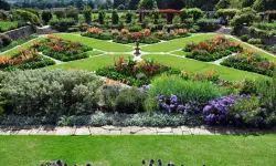 Samsun Peyzaj Firmaları Rehberi