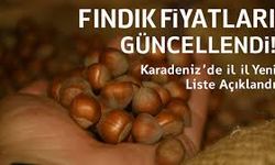 Fındık Fiyatlarında Yıl Sonu Hareketliliği: Karadeniz’de Yüzler Gülüyor mu?