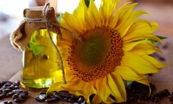 Migros Ayçiçek Yağı 5 L Köşeli Pet