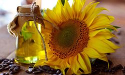 Ayçiçek Yağı Kaç TL?