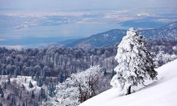 Kış Aylarında Sapanca’da Ne Yapılır? Doğayla İç İçe Bir Kış Kaçamağı