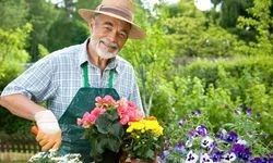 Samsun Bahçıvan Arayanlar İçin Rehber