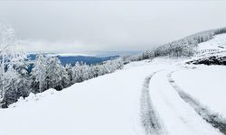 Samsun'da Sıcaklıklar Düşüyor Kar Gelebilir !!
