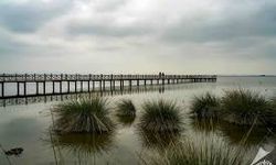 Samsun'da Yürüyüş Yapılabilecek Yerler