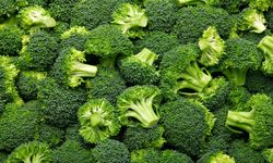 Kış Aylarında Hangi Sebzeler Tüketilmeli?