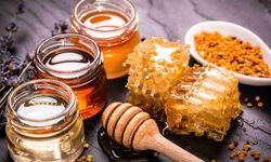 Samsun’da Organik Bal ve Polen Nereden Alınır?