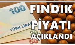 Fındık Fiyatlarında Yeni Hareketlilik: Karadeniz’de Üreticinin Yüzü Gülüyor Mu?