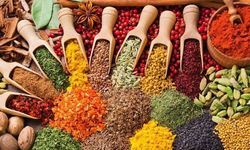 Samsun’da Taze Kuruyemiş ve Baharat Çeşitleri Nereden Alınır?