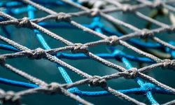 Samsun’da Kaliteli Balık Ağları Ve Serpme Ağ Çeşitleri Nereden Alınır?