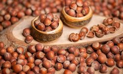 18 Ocak 2026 Pazar Güncel Fındık Fiyatları Listesi: İl ve İlçe Bazlı
