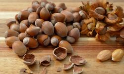 Güncel Fındık Fiyatları: 15 Ocak 2026 Perşembe İl Ve İlçe Bazlı Tam Liste