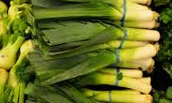 Pırasa’nın Faydaları Neler? İşte Pırasa’nın Önemli Faydaları