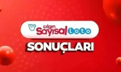 19 Ocak Sayısal Loto Sonuçları Açıklandı: 569 Milyon TL Devretti!
