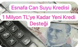 Kamu Bankalarından Esnafa Can Suyu: 1 Milyon TL’ye Kadar Yeni Kredi Desteği