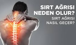 Bel ve Sırt Ağrısına Ne İyi Gelir? Günlük Hayatta Uygulanabilecek Etkili Yöntemler