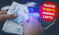 Faizsiz Kredi Arayanlara Müjde: 75 Bin TL’ye Kadar Sıfır Faizli Destek