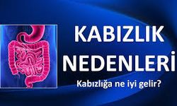 Kabızlığa Ne İyi Gelir? Günlük Hayatta Uygulanabilecek Etkili Yöntemler