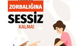 Son Dönemin Kabusu: Akran Zorbalığı Nedir?