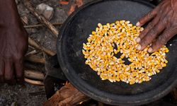 2026 Oruç Tutmayanın Günlük Vermesi Gereken Miktar Ne Kadar?