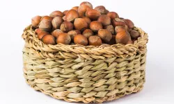 3 Şubat 2026 Salı Güncel Fındık Fiyatları Listesi: İl ve İlçe Bazlı Tam Liste