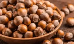 9 Şubat 2026 Güncel Fındık Fiyatları Listesi: İl ve İlçe Bazlı Tam Liste