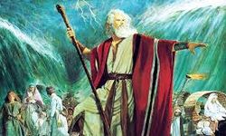 Hayatta Neden Sürekli İmtihan Oluyoruz? İslam Bize Neyi Emrediyor