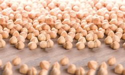 10 Şubat Sakarya İç Fındık ve Canlı Hayvan Fiyatları