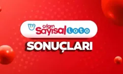 Çılgın Sayısal Loto Sonuçları Açıklandı! 2 Şubat 2026 Büyük İkramiye Devretti