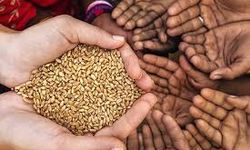 Zekât Nasıl Hesaplanır? Kimlere Verilir?