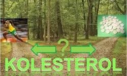 Kolesterol Düşürmenin Kolay Yöntemleri