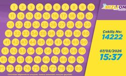7 Mart 2026 Hızlı On Sonuçları Açıklandı: 14222 Numaralı Çekilişin Kazandıran Rakamları Belli Oldu!