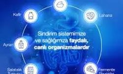Bağırsak Sağlığının Gizli Kahramanı: Probiyotikler