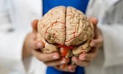 İnsan Psikolojisi Neden Bu Kadar Karmaşık? İnsan Psikolojisini Çözme Yöntemleri